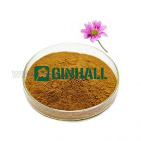 Echinacea extract