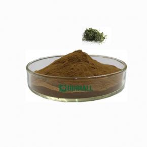 Gynostemma pentaphyllum extract