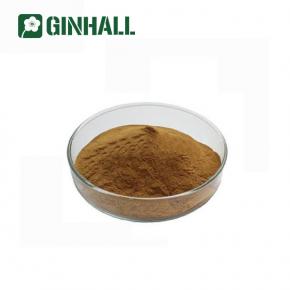 ginkgo biloba extract